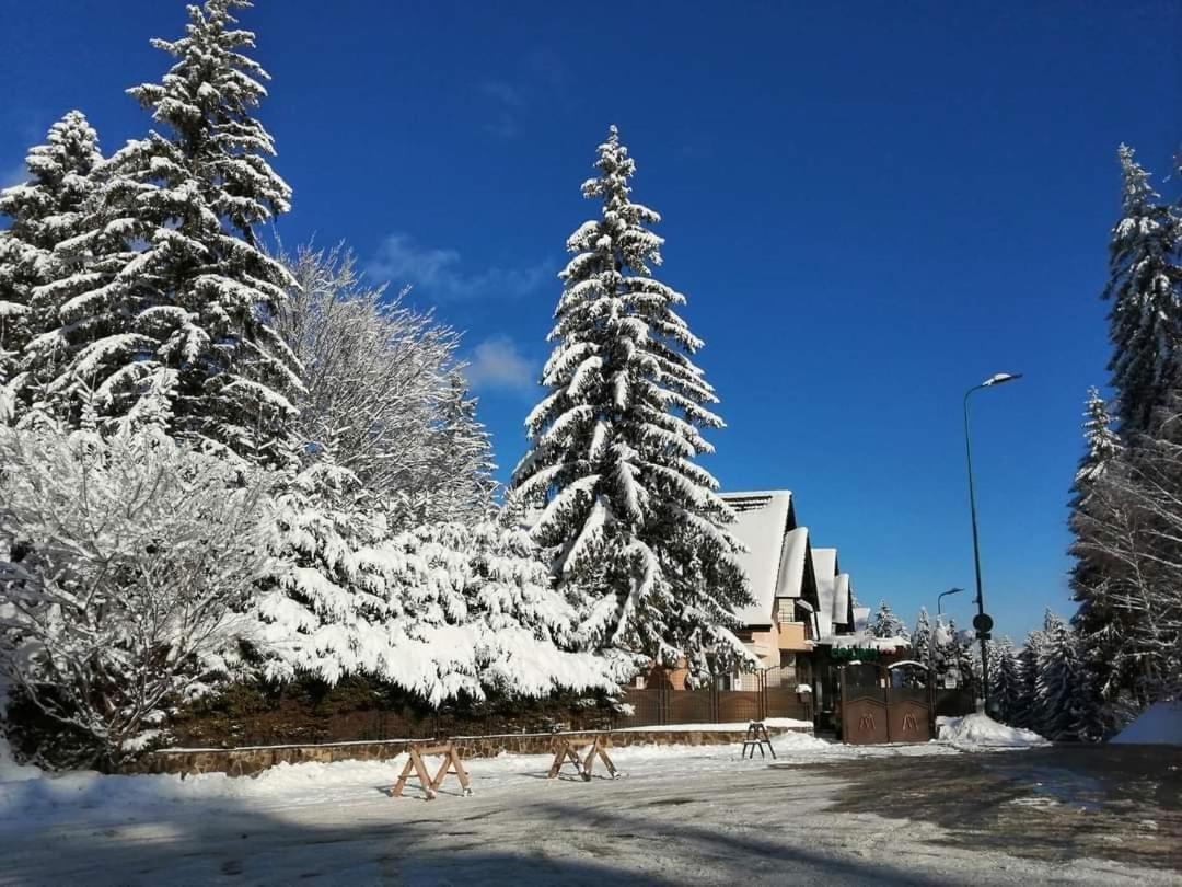 Pensiunea Colina Пояна-Брашов Экстерьер фото
