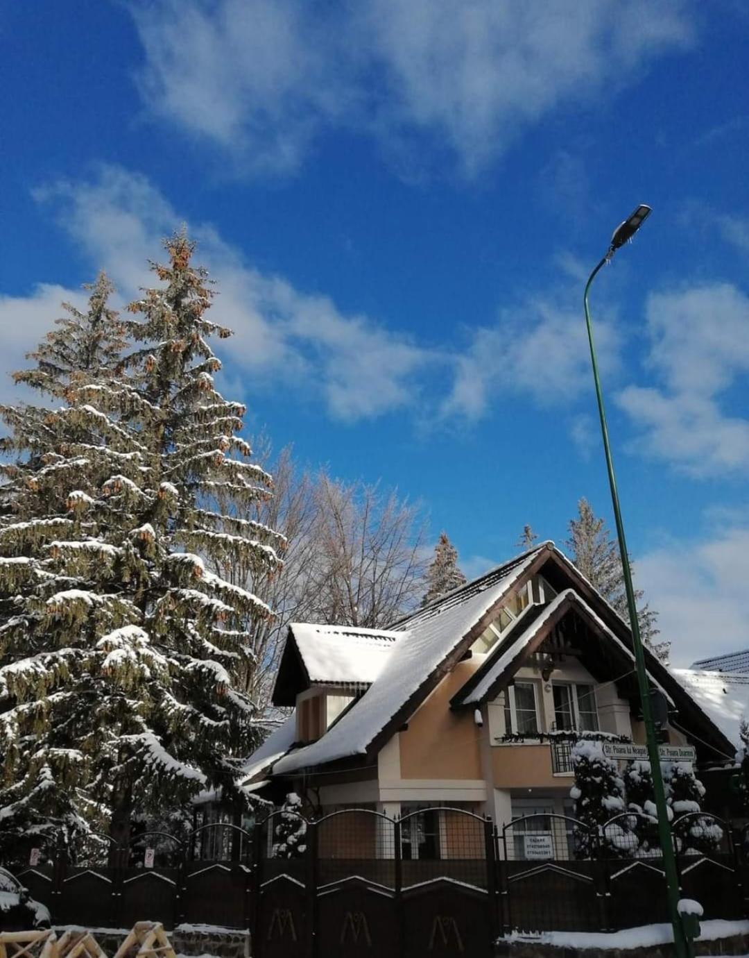 Pensiunea Colina Пояна-Брашов Экстерьер фото