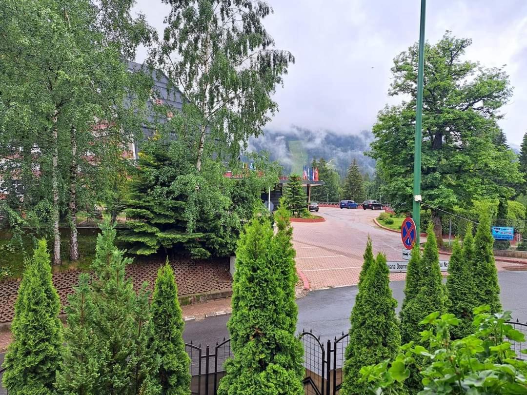 Pensiunea Colina Пояна-Брашов Экстерьер фото